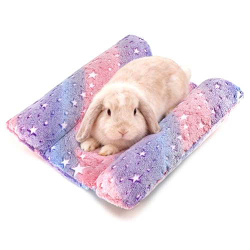 Rabbit Bed with Pillows, Dual-Sided 17"x15" Washable Lounger Pad - 17 x 15 x 4 inches, Rainbow Star, Polyester by Tierecare