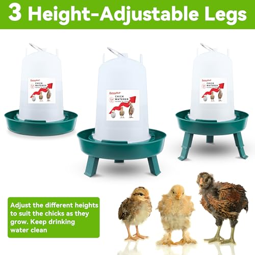 2-in-1 Chick Starter Set: 0.3 Gal Feeder & 0.4 Gal Waterer Green - BPA-Free Plastic (Semi-Transparent), 1.5 liters, 2 Pack - Image 2