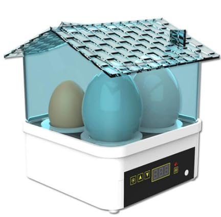 Incubator for Hatching Eggs-4 Egg Capacity, 360° Viewing for Chicken, Duck and Quail Eggs (Blue)