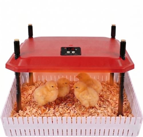 12"x12" Chick Brooder Heater Plate, Adjustable Poultry Heater with Cuttable Dividers - Polyester, Safe Heat Lamp Alternative by Kinerby