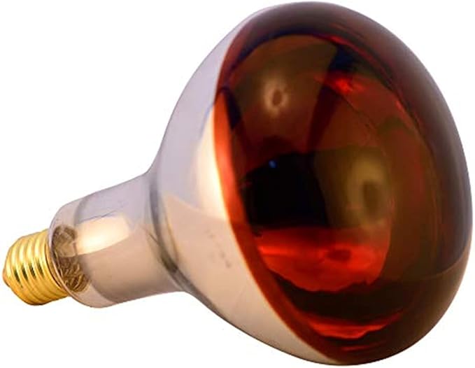 Heat Lamp Bulb R115 125 Watt 2 Pack Infrared Glass Lamp Bulb for Food Service, Brooder Bulb, Chicks, Pet, Bathroom, Light Therapy, Reptiles and Amphibian Use E26 Base