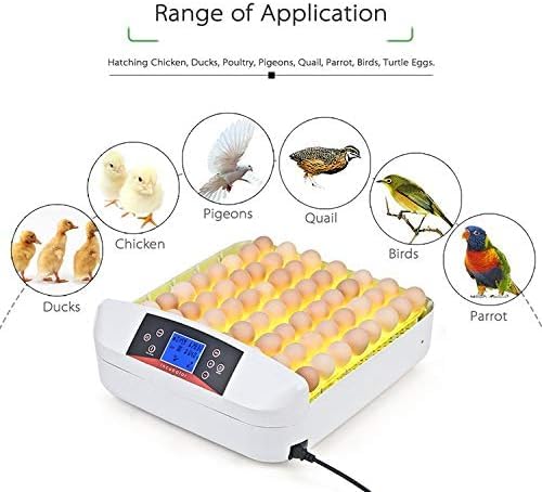 Egg Incubator with Auto Turner & Humidity Control – High Hatch Rate Poultry Hatcher for Chicken Duck Quail, 360° View & Stable Temp System, Ideal for Farm & Home Breeding (55 Egg)
