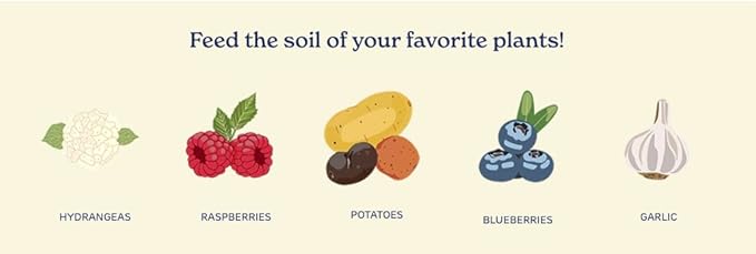 True Organic Prilled Sulfur – Organic Fertilizer for Better Plant Growth,Flowers,Vegetables,and Herbs – Lowers Soil pH-– 5lb Bag Covers 1,333 Sq. Ft.,(Pack of 6)