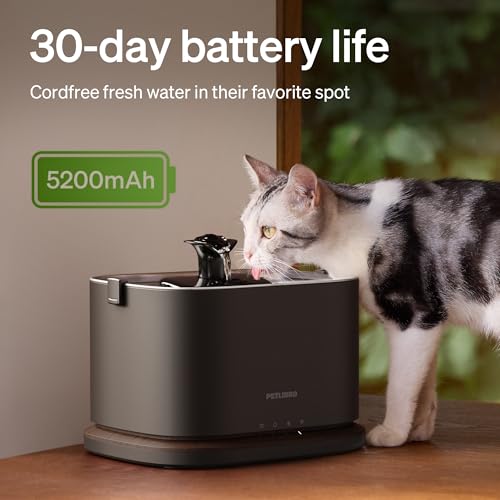 PETLIBRO Cat Water Fountain Stainless Steel Tray - Cordless Fountain, Black, 3 liters, Easy Clean 5G WiFi Cat Dispenser - Image 4