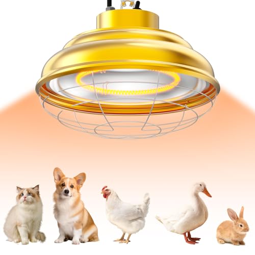 600 Watt Large Heat Lamp for Chicken Coop, Hanging Chicken Coop Heater - Gold, Metal by Micosong