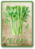 Vegetables Metal Sign Vintage Decor Celery Sign Farm Wall Decor Sturdy Rust Waterproof Aluminum Signs for Outdoor Yard Garden Easy to Install 5.5x8inch
