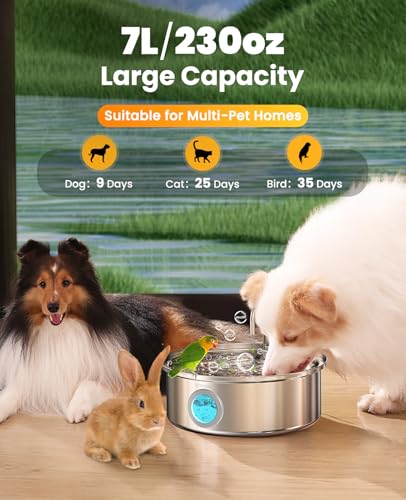 Oneisall 7L/230oz Pet Water Fountain - 7L Dog fountain stainless steel with 6 Set Filters, 7 liters - Image 3