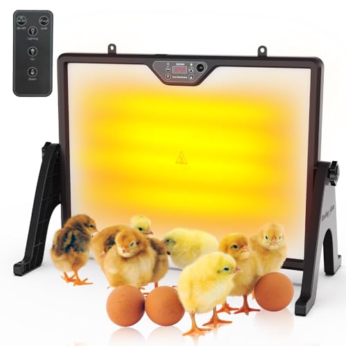 180W Dual-Sided Chicken Heat Plate with Remote - Light Black, ABS + aluminum-plastic panel, 4 Timer Settings by Gyrivav