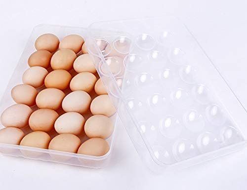 Sooyee 2 Pack Covered Egg Holders for Refrigerator,Clear 2X24 Deviled Egg Tray Storage Box Dispenser,Stackable Plastic Egg Cartons,Egg Holder Countertop(48 Eggs)