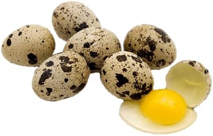 Jumbo Quail Egg Cartons with Custom Farm Labels for Coturnix Bobwhite Quail (24 Count, 100)