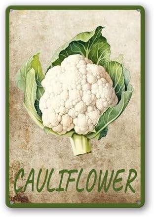 Vegetables Metal Sign Vintage Decor Cauliflower Sign Farm Wall Decor Sturdy Rust Waterproof Aluminum Signs for Outdoor Yard Garden Easy to Install 12x16inch