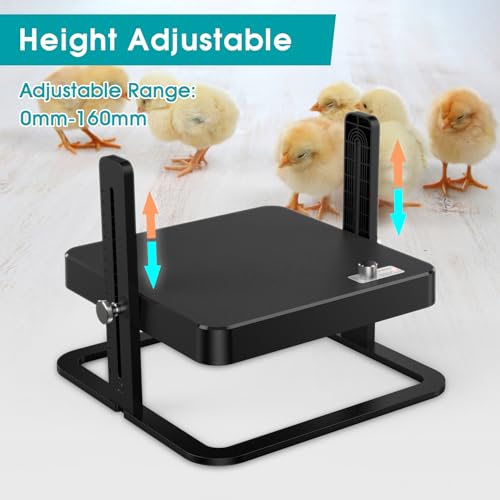 Upgraded Chick Heating Plate with Adjustable Height & Angle - 10.0"L x 5.0"W x 10.0"H, Black, Acrylonitrile Butadiene Styrene (ABS), Ideal for Chicks - Image 4