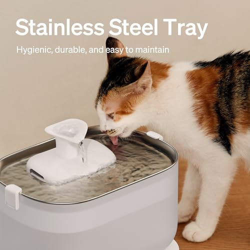 PETLIBRO Cat Water Fountain Stainless Steel Tray - 2.5L Fountain, White, 2.49 liters, 2.5L Automatic Water Dispenser for Cats - Image 3
