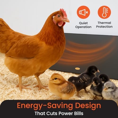 Cozy Products Cozy Coop, Chicken Coop Heater, Flat-Panel Radiant Heater with Thermal Protector, Energy-Efficient, Easy to Install, Ideal for Small Animals, 200 Watts, Black