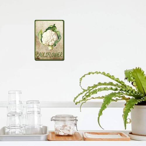 Vegetables Metal Sign Vintage Decor Cauliflower Sign Farm Wall Decor Sturdy Rust Waterproof Aluminum Signs for Outdoor Yard Garden Easy to Install 8x12inch