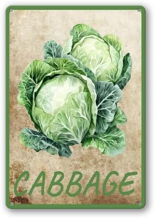Vegetables Metal Sign Vintage Decor Cabbage Sign Farm Wall Decor Sturdy Rust Waterproof Aluminum Signs for Outdoor Yard Garden Easy to Install 12x16inch