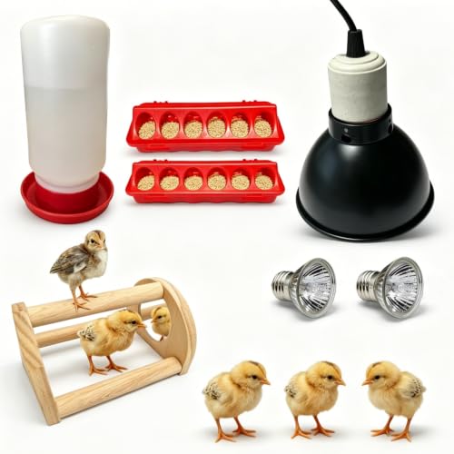 Chick Starter Kit with 75w Heat Lamp, 5-in-1 Baby Chicken Brooder Supplies - red, white, black, Metal & Plastic by MOCUIUOO