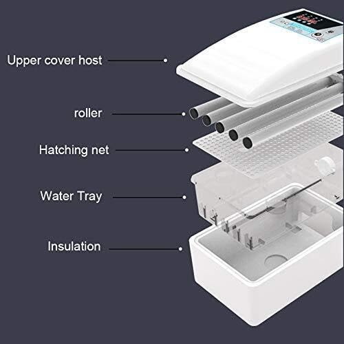 Egg Incubator with Automatic Turning, 36 Eggs Capacity, Digital Temperature Control, Dual Power, for Chicken, Duck, Goose, Birds
