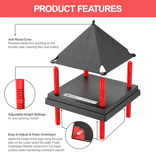 Chick Brooder Heating Plate with Anti Stand Cone - 12" x 12" with Fixed Temp, Black, Acrylonitrile Butadiene Styrene (ABS), 12"x12" Fixed Temp Black - Image 2