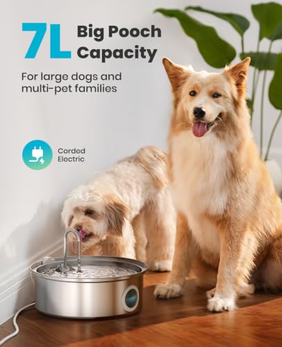 Oneisall Dog Water Fountain PWF002 with 1Filters - Silver, Stainless Steel, 7 liters - Image 2