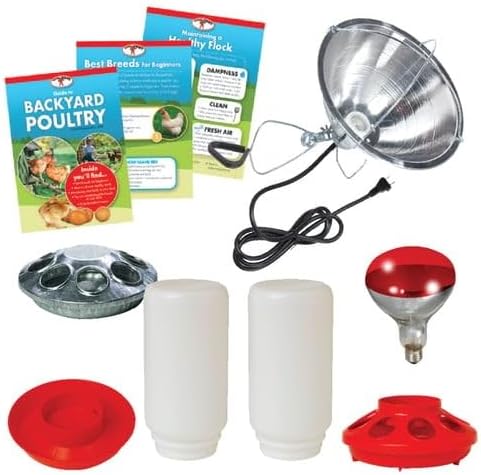 Little Giant® Beginner Poultry Kit - Includes Feeder, Waterer, Lamp, Jars, and More Supplies for Raising Chicks