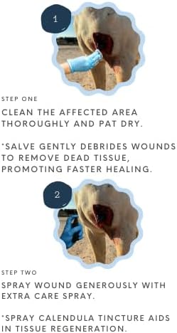 Corazón Therapeutics Equine Wound Care Kit, 3-Part Treatment System with Salve, Spray and Oral Solution
