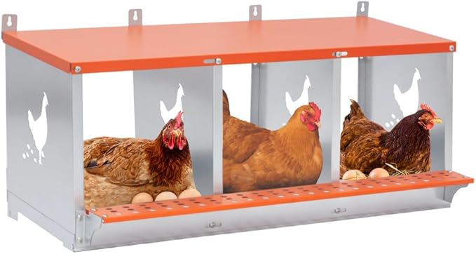 Wall-Mounted Metal Nesting Box for Chickens and Ducks – Galvanized Steel Construction with Ventilation & Easy Egg Access (3-Orange)