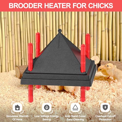 Chick Brooder Heating Plate with Anti Stand Cone - 12" x 12" with Fixed Temp, Black, Acrylonitrile Butadiene Styrene (ABS), 12"x12" Fixed Temp Black - Image 6