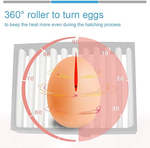 Egg Incubator,Egg Incubator with Automatic Egg Turning and Humidity Control,Poultry Hatcher for Chickens Ducks Birds (56 Eggs)