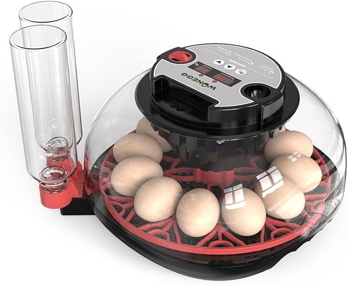 Incubators for Hatching Eggs, 12 Egg Incubator with Automatic Egg Turning and Humidity Control, 360° View Incubadora