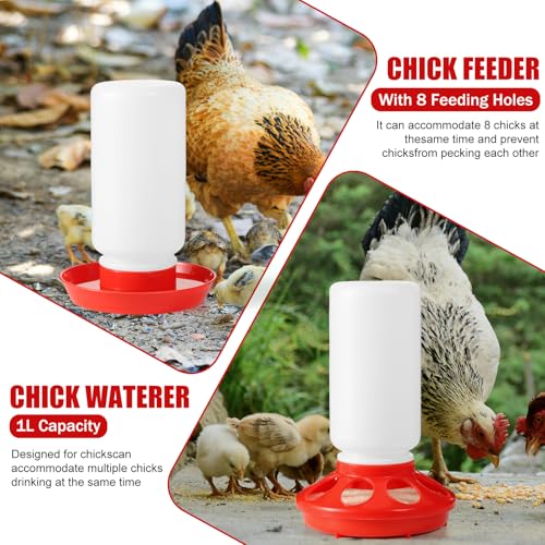 7PCS Chick Feeder and Waterer Kit with Wooden Perch,Baby Poultry Starter Set with Chick - Plastic, 16 ounces - Image 3