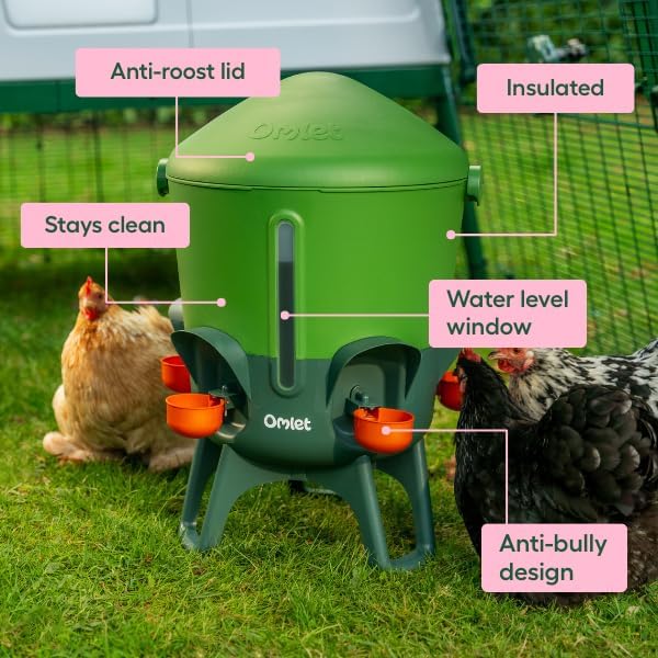 Omlet Insulated Chicken Waterer, 3 Gallon | Stay-Clean Automatic Water Dispenser for Chickens | BPA-Free | Anti-Roost Domed Lid | Includes 5 Cups & Nipples | Eglu Green