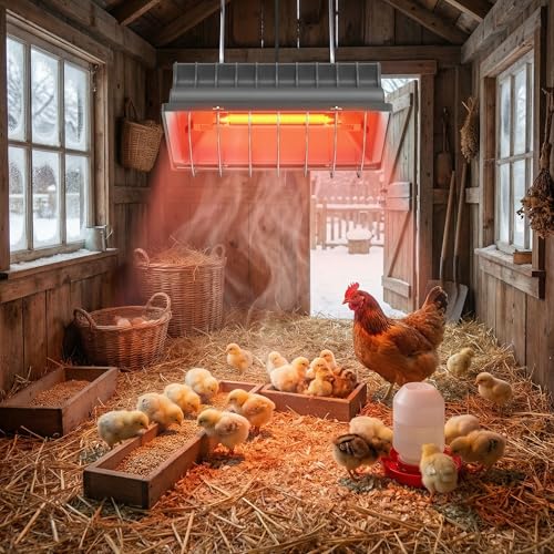 300W Bulb Repalcement -Heater for 30 Chicks Or Ducklings,Adjustable Temp for Livestock - 1 Pack, Red, Glass - Image 5