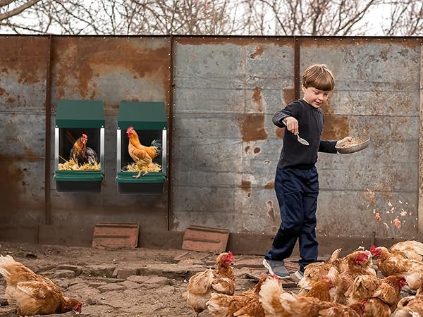 Outvita Chicken Nesting Boxes, 1 Compartment Chicken Egg Laying Box, Nesting Boxes for Chickens with Swing Perch and Roll Away Egg Collection for Chicken Coop, Green