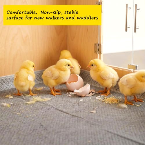 10 Pack Chick Brooder Liners Chick Bedding Bamboo Charcoal Hatchling Liners Keep - 35" x 24", gray, Polyester, and More - Image 6
