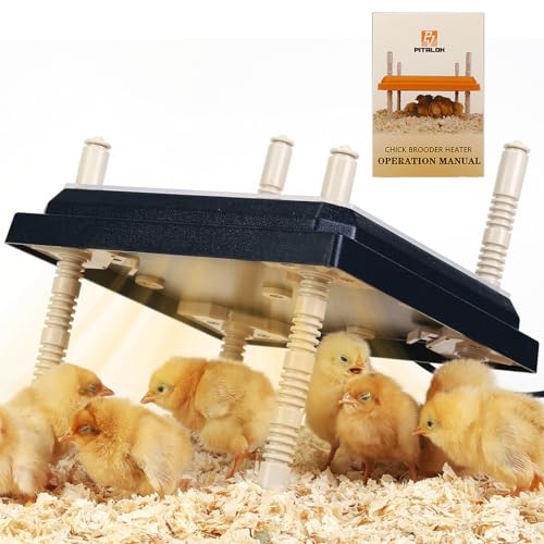 Brooder Heater for Chicks: Chick Brooder Heating Plate with Easy- Cleaning Plate Poultry - Black by Pitalok