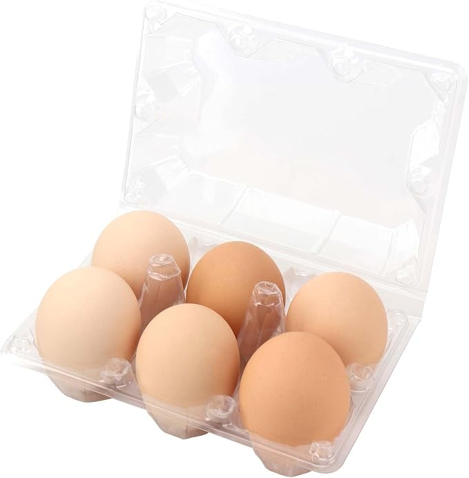 JAPCHET 150 Pack Clear 6 Egg Carton, Empty Plastic Egg Cartons for Chicken Egg Storage and Transport for Kitchen, Market and Farm