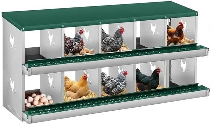 Space-Saving Durable Design - Metal Chicken Nesting Box for Small Animals - 10 Compartments, Wall Mountable, Easy Egg Collection, No Legs - Green, 10 Compartments, No Legs