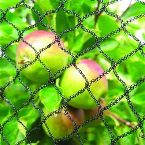 Woven Bird Netting 30X30 FT, 1/2" Mesh, Strong Bird Net Protect Fruit Trees, Blueberry, Vegetables, Strawberry Plants, Garden Netting Pest Barrier, Against Deer, Squirres, Small Critters