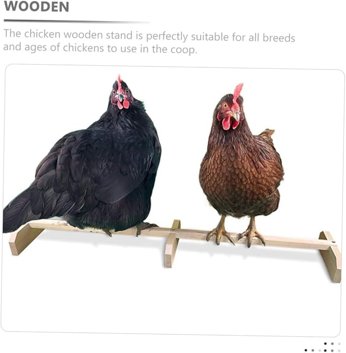 BESPORTBLE Wooden Chicken Roosting Bar Natural Bird Perch Stand for Pet Parrots and Hens Safe Breeds and Ages Coop Perch to Attract and Entertain Pets