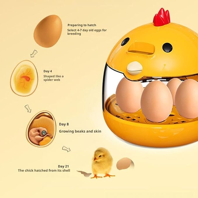 Egg Incubator, Rutin Chicken Egg Incubator for Hatching Eggs, Small Clear Egg Hatching Incubator, Automatic Smart Control Hatcher Machine for Variety Size of Eggs