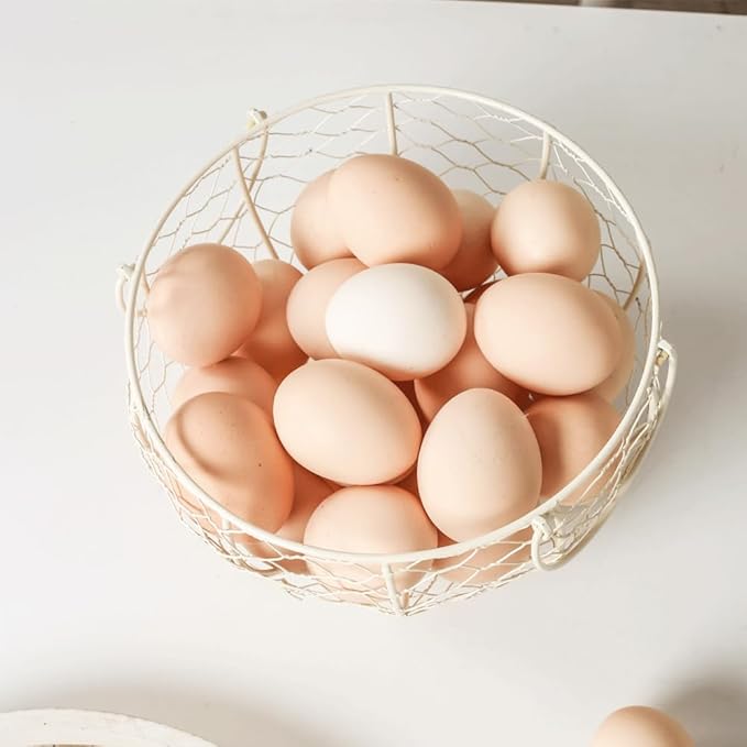 Farmhouse Fresh Eggs Collecting Basket With Handle，Vintage Style Metal Wire Eggs Holder Basket for Countertop Kitchen Storage Bin White