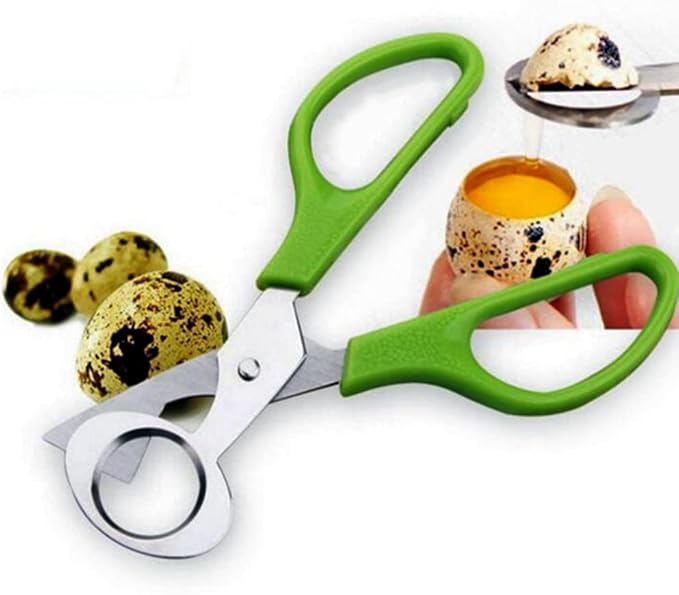 Quail Egg Cartons,15 Grids Small Egg Storage Holders,Quail Eggs Bulk Carton Trays & 2PCS Stainless Steel Cutter