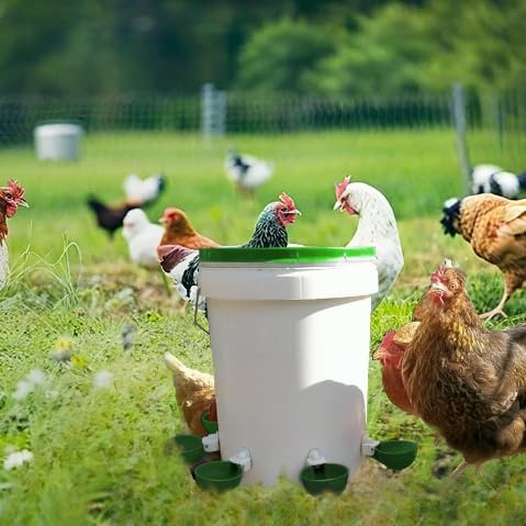 Farmight Automatic Poultry Waterer Kit – Leak-Free Large Self-Filling Cups with Drill Bit for Chickens, Ducks, Quail, Geese & Turkeys - 10 Pack