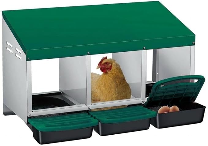 Chicken Nesting Box,Chicken Laying Boxes with 3 Compartment Metal Stainless Steel,Chickens Egg Laying Nest Boxes with Rollout Egg Collection,Chicken Brooder Box with Perch,Green