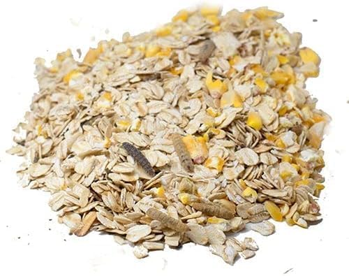 USA Black Soldier Fly Grub, Oatmeal, & Herb Chicken Scratch Treat for Backyard Hens: Healthy Backyard Chicken Feed and Supplies, Cold Winter Nights (4 pounds)