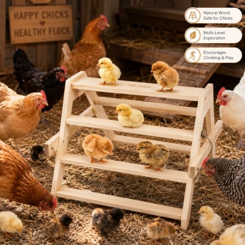Chicken Perch Roosting Bars for Coop Accessories - 17.5"L x 17.5"W x 13.5"H, natural wood color, for Baby Chicks - Image 2