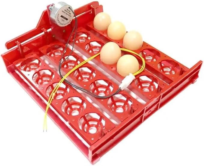 20 Egg Incubator Turn Eggs Tray Eggtester Automatically Turn The Eggs Experimental Teaching Equipment Voltage 220V / 110V / 12V(220V Motor)