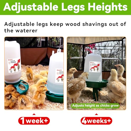 2-in-1 Chick Starter Set: 0.3 Gal Feeder & 0.4 Gal Waterer Green - BPA-Free Plastic (Semi-Transparent), 1.5 liters, 2 Pack - Image 6