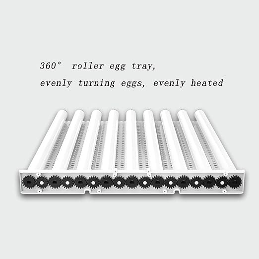 Egg Incubator with Automatic Turning, 36 Eggs Capacity, Digital Temperature Control, Dual Power, for Chicken, Duck, Goose, Birds